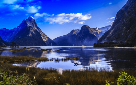 Top 5 Reasons to Visit New Zealand