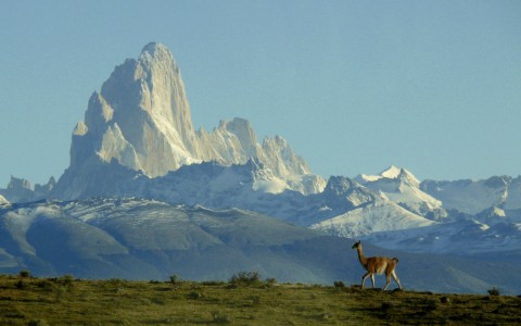 In Patagonia, Adventures in Uncharted Territory