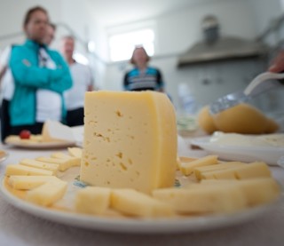 Puglia Cheese