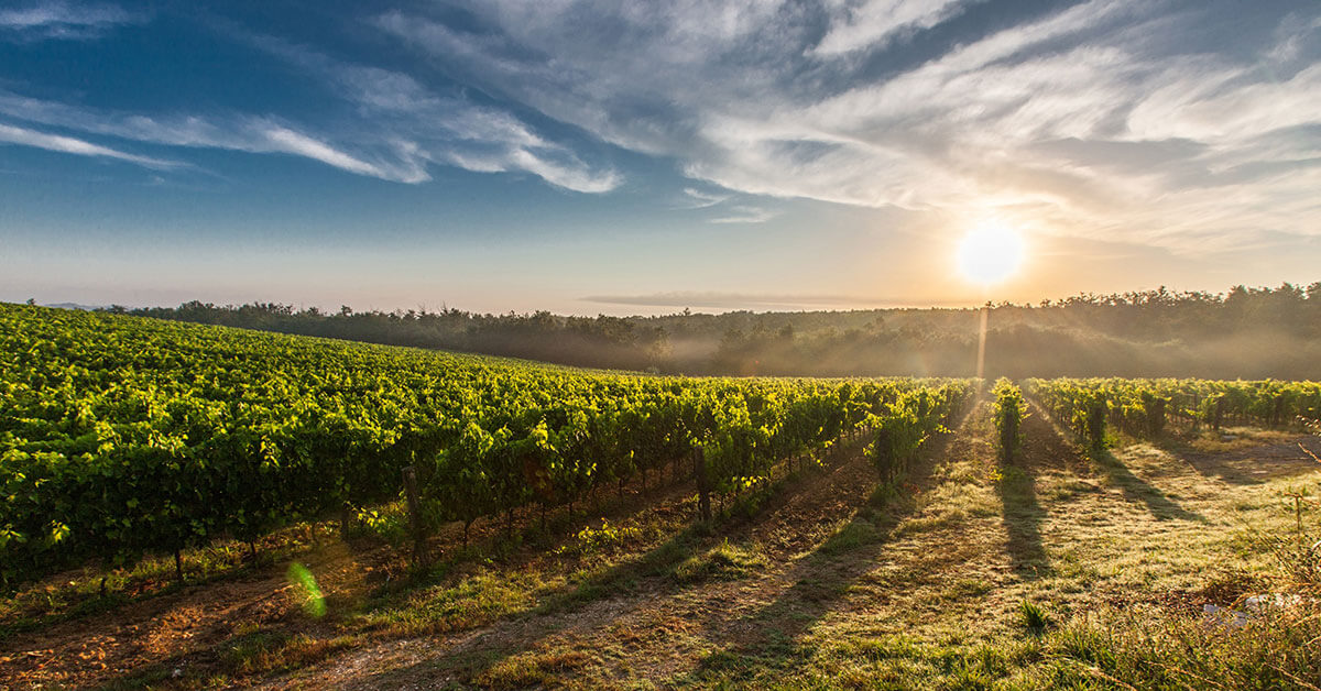 Tuscan-Wine-FB