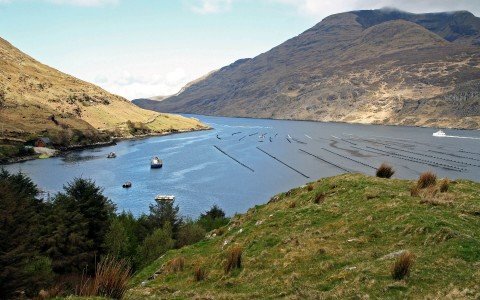 In Killary Harbour, History and Beauty
