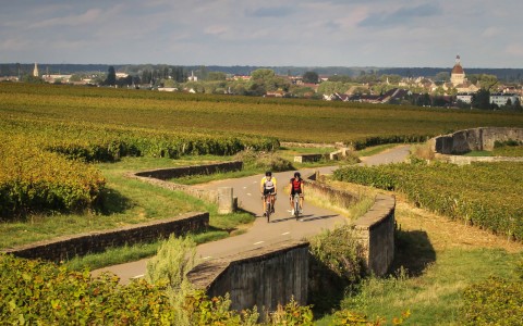 Cycling in Burgundy: A Riding Revelation