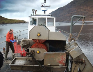 Killary Fjord Shellfish