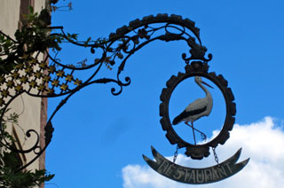 Alsace storks 