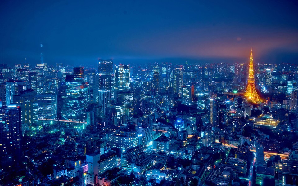 Insider’s Guide: Things To Do in Tokyo