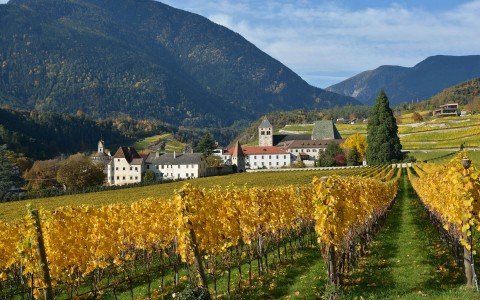 Vines 101: Trentino-Alto Adige Wine