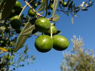 Umbria cuisine 