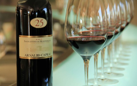 Vines 101: Umbria Wine