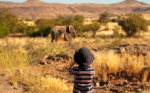 5 Incredible Family Adventures in Africa