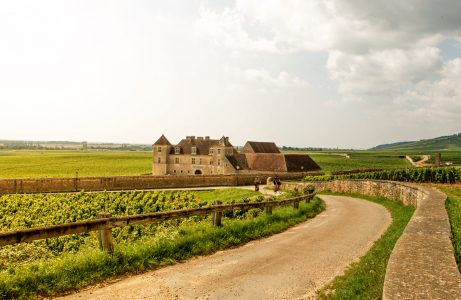 The insiders: Burgundy, France