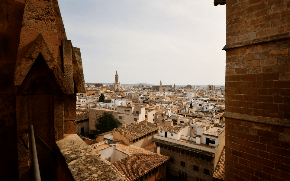 Palma