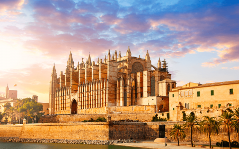 Insider’s Guide: 24 Hours in Palma, Mallorca