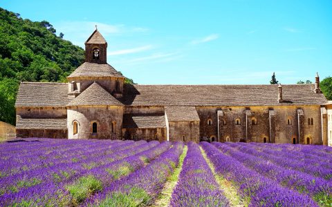 11 Things to See & Do in Provence