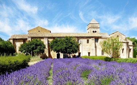 Insider’s Guide: My Favourite Places to See, Eat & Stay in St-Rémy-de-Provence