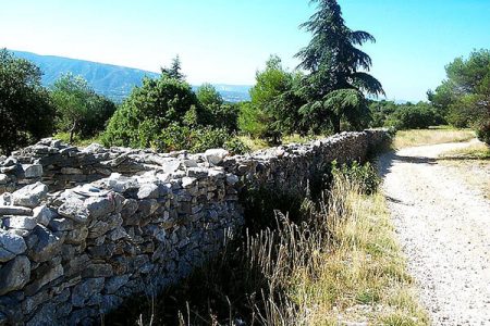 what-to-see-in-provence-the-mur-de-la-peste