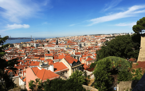 Insider’s Guide: Where to Eat and Drink in Lisbon