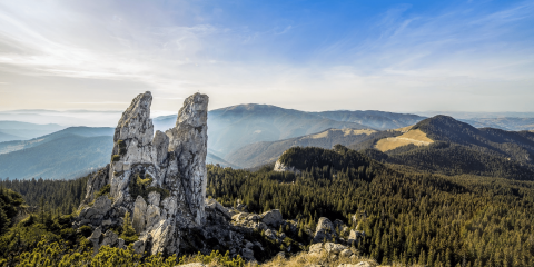 Why Romania Should Be Next On Your List