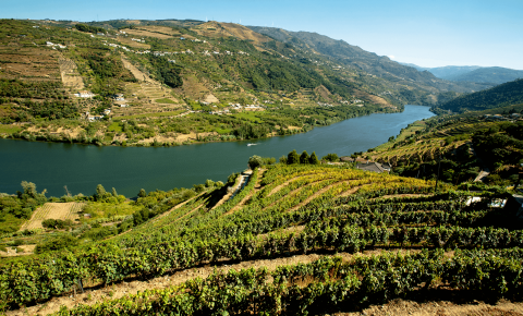 In Deep: Portugal’s Douro Valley