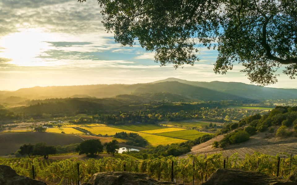 The Rustic and Resplendent Charm of Napa and Sonoma