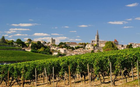 Reading for the Road: Our 5 Favourite Books About Bordeaux
