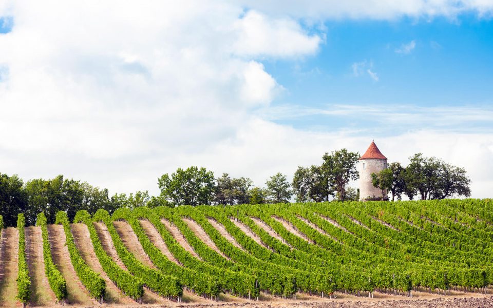 The World’s Best: Top 15 Bordeaux Wines