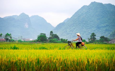 Why I Love Guiding (And Travelling) In Vietnam