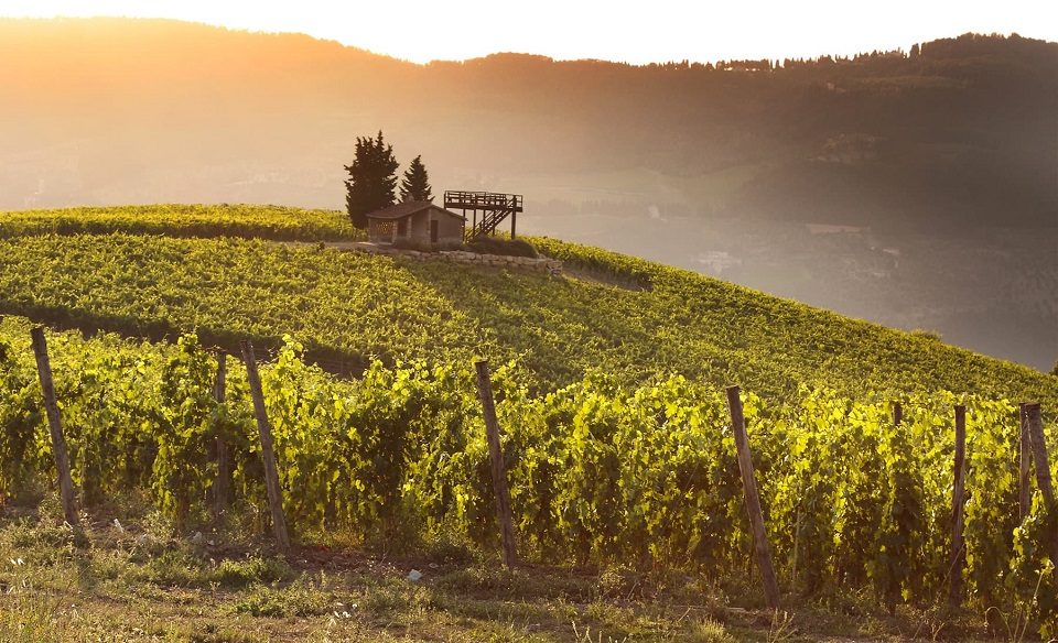 Favourite Tuscan Wines, Best Tuscany Wines