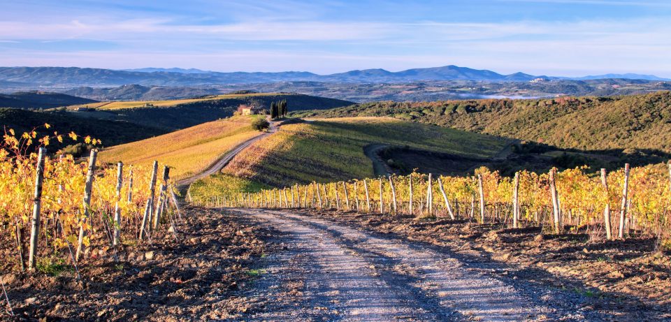 8 of Our Absolute Favourite Tuscan Wines