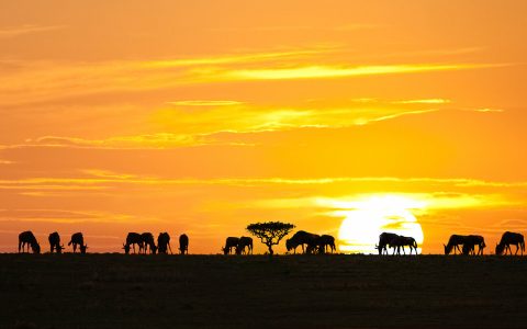 Tanzania: 9 Natural Wonders