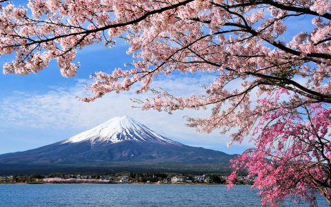 5 Things to Know Before You Go to Japan