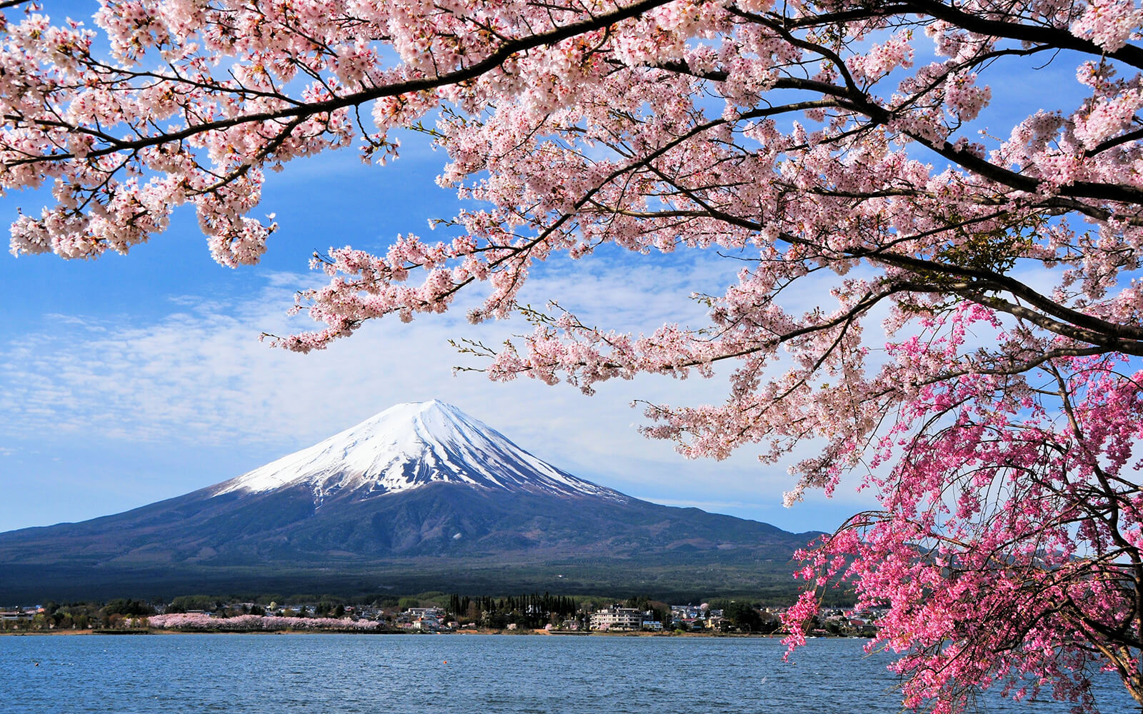 Japan-MtFuji-XL-1600x1000.jpg