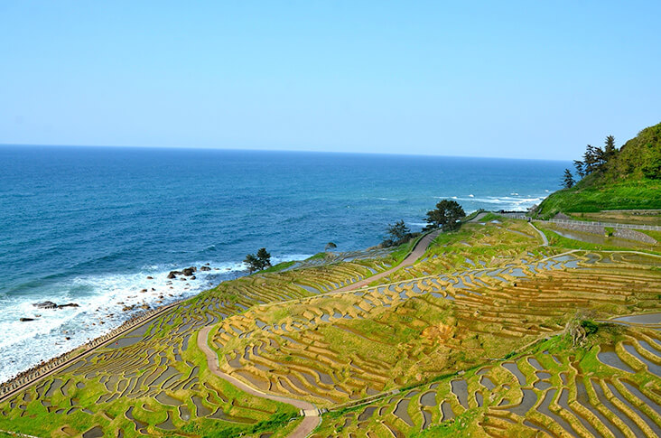 Terraced fields and the ocean in Japan