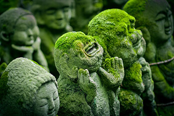 buddha statues in Japan