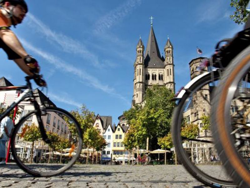 Easy Rider – a (very gentle) cycle tour up the river Rhine