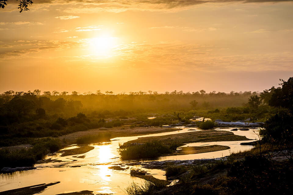 Spectacular Stays: Singita Ebony Lodge | Butterfield & Robinson