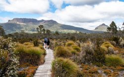 reasons why not to visit australia