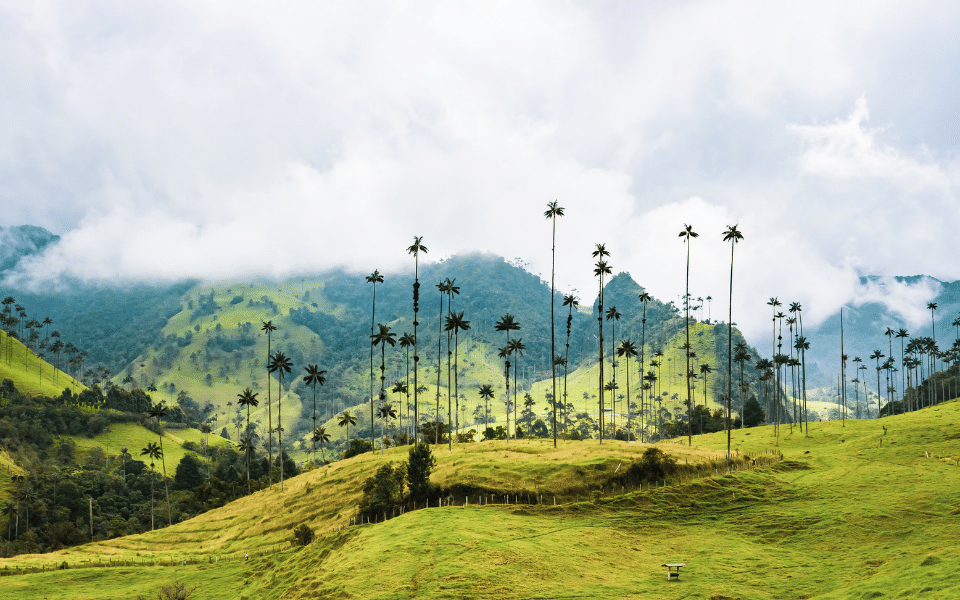 Colombia mountains