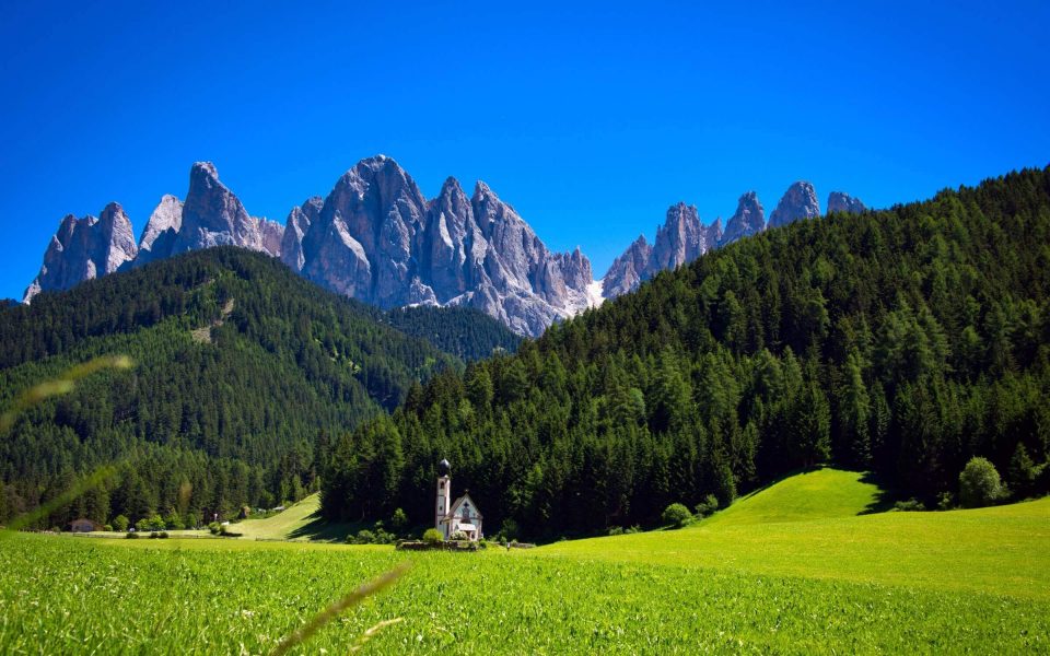 The Slow Fund: Replanting Trees in the Dolomites with Wow Nature
