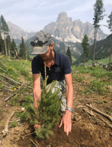 Planting trees in the Dolomites