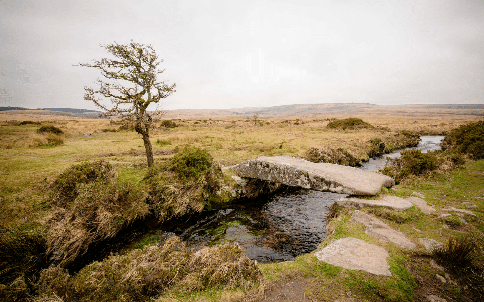 Best Biking Routes England Dartmoor