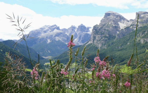 Dolomites