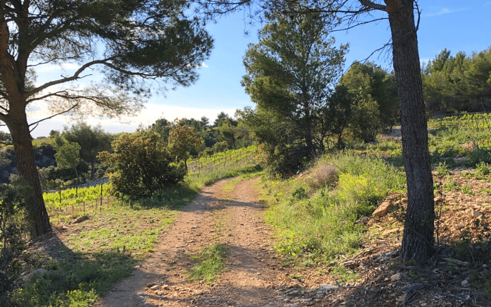 Fontaine-de-Vaucluse Loop