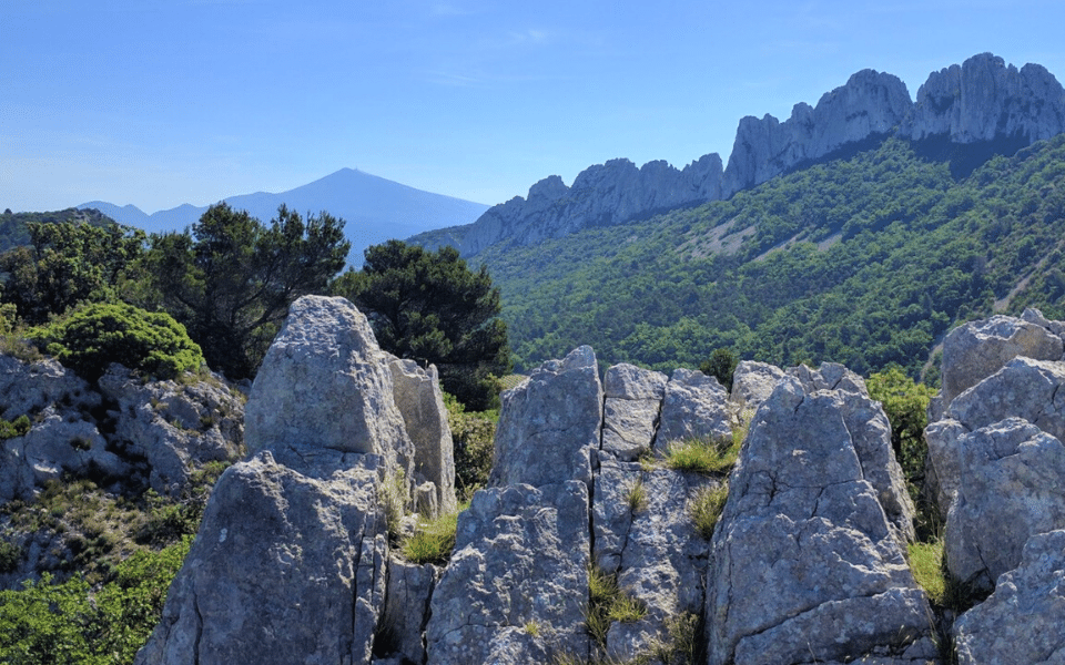 Dentelles De Montmirail