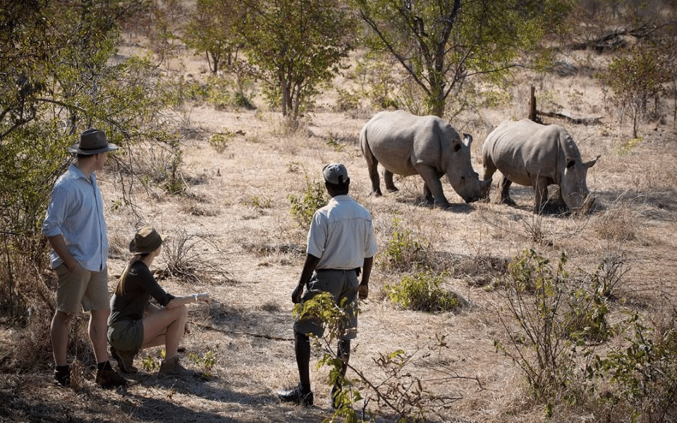 Beks Ndlovu with rhinos