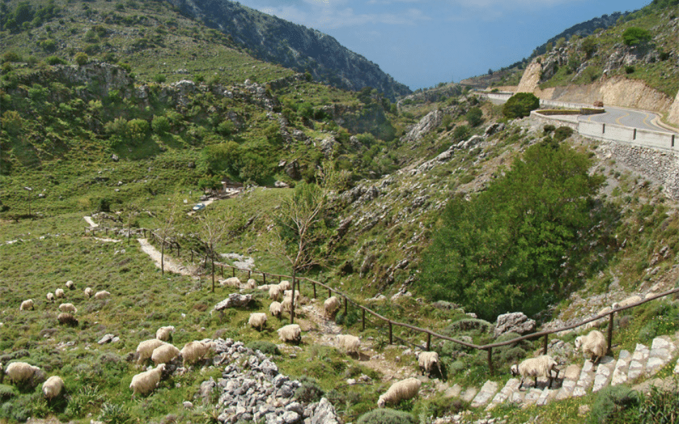 Imbros Gorge in Greece