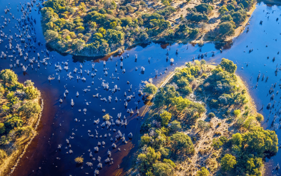 The Okavango Delta