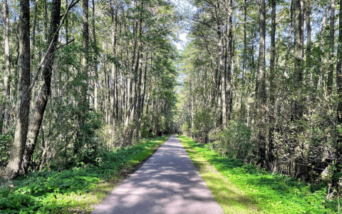 Bike trail in Palanga, Lithuania