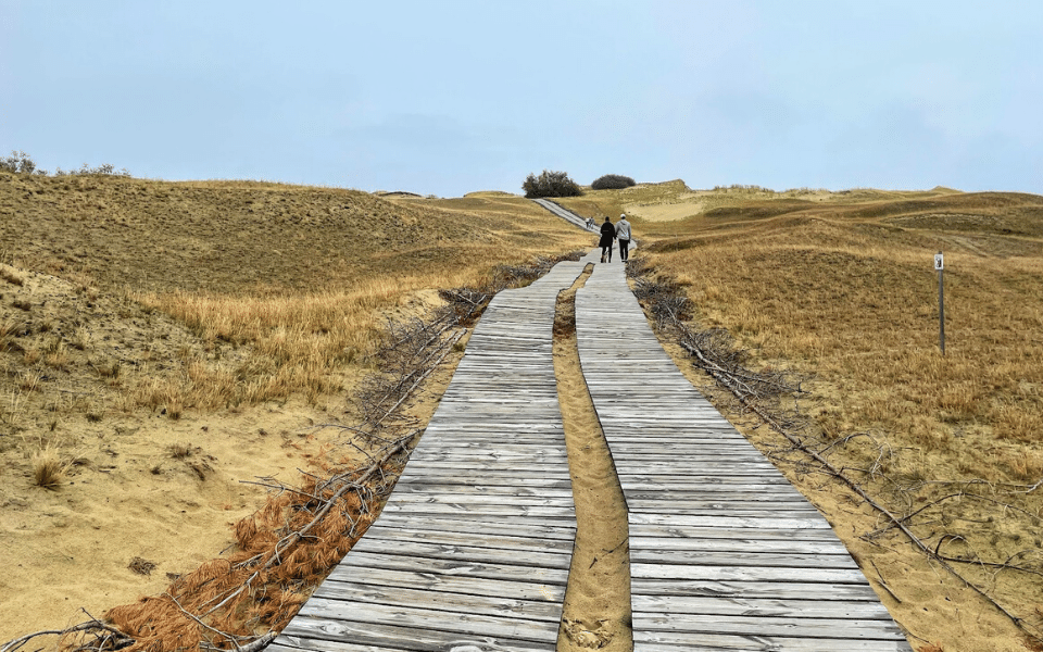 Dunes, Curonian Spit, Lithuania