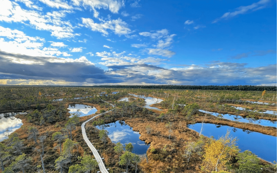 Kemeri Bog, Latvia