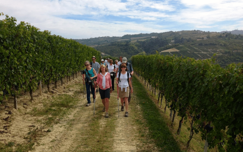 Women walking through vineyards